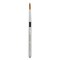 Princeton Aqua Elite Series 4850 Synthetic Brush - Travel Round, Size 8